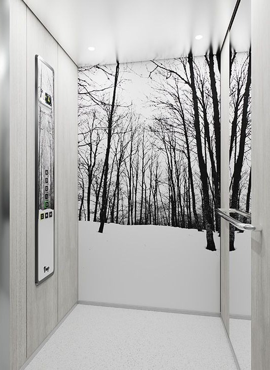 Cabina con mural bosque nevado en blanco y negro — Ascensores Skylift